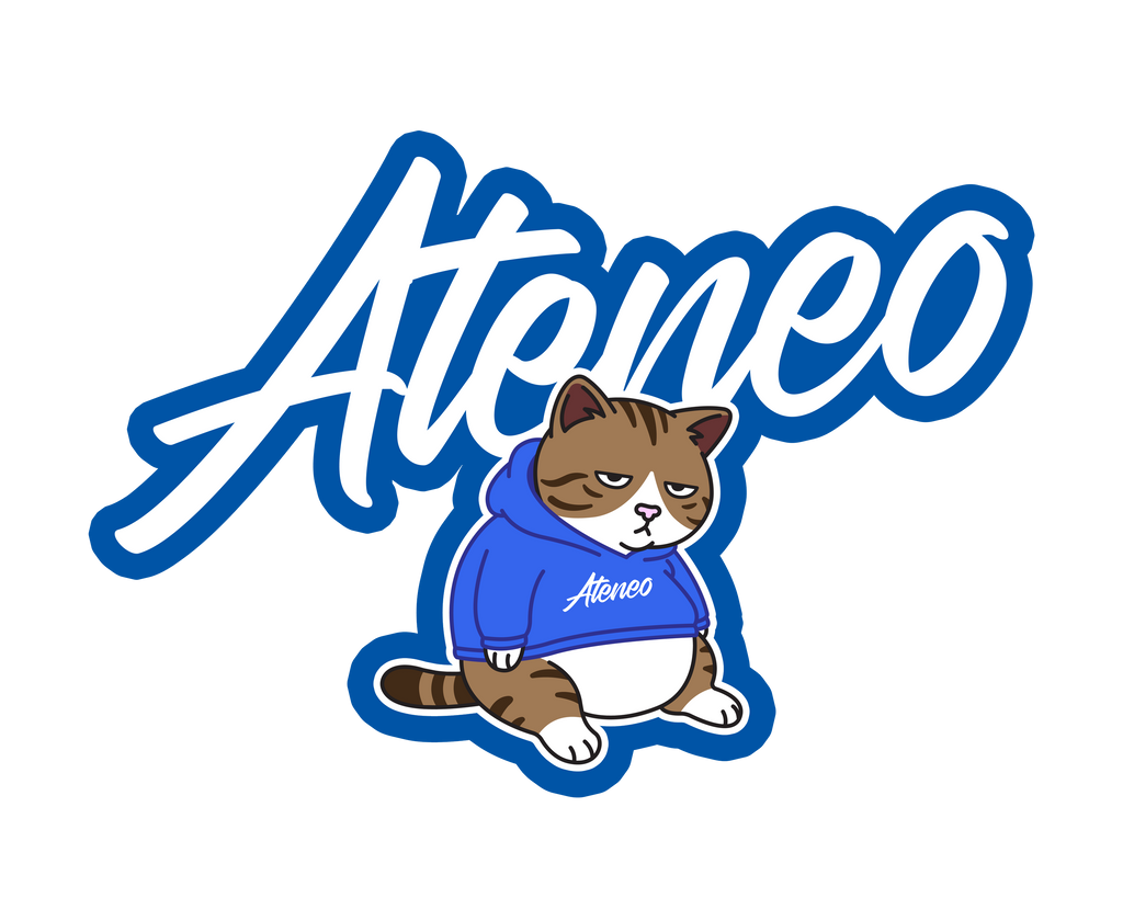 Cateneo Keychain