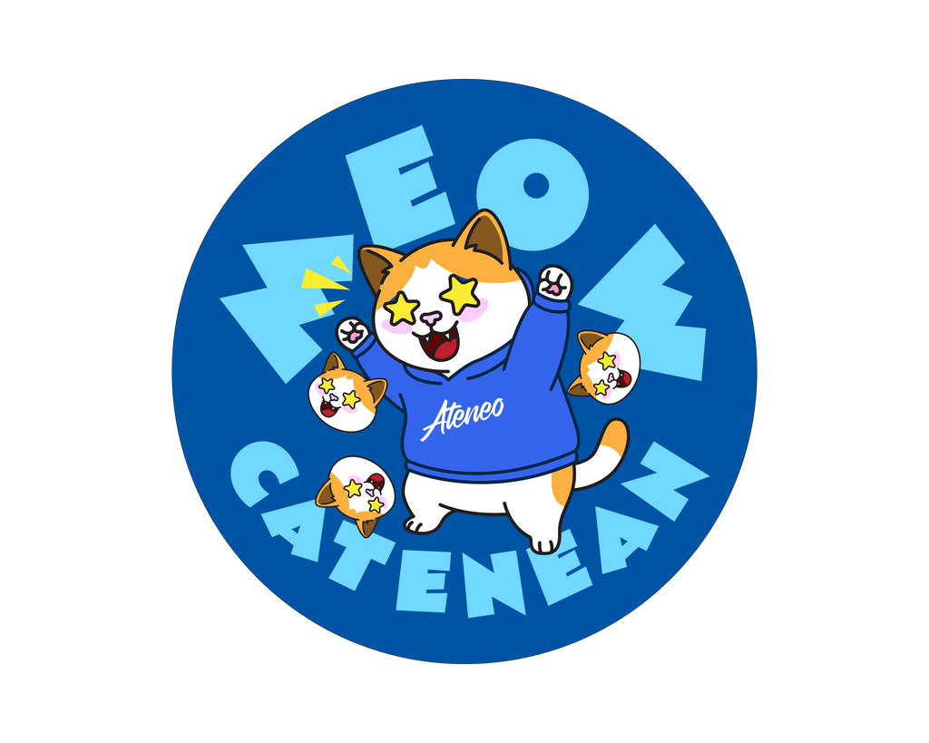 Cateneo Keychain